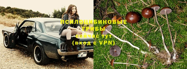 крисы Балахна
