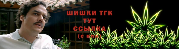 дживик Баксан