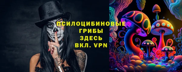 крисы Балахна